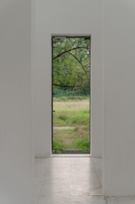 adrian assefa adam talmon