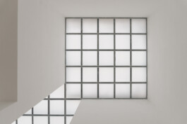 adrian assefa adam talmon