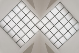 adrian assefa adam talmon