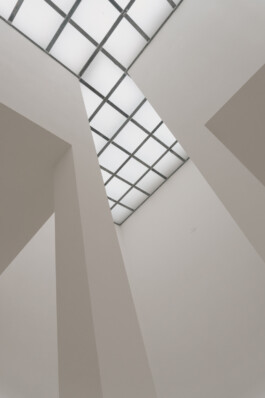 adrian assefa adam talmon