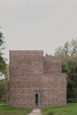 adrian assefa adam talmon