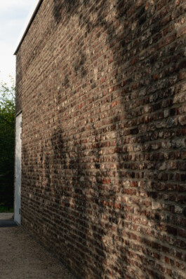 adrian assefa adam talmon