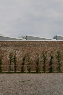 adrian assefa adam talmon