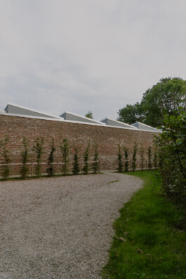 adrian assefa adam talmon