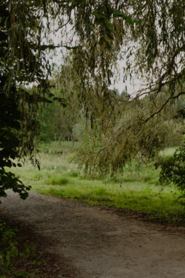 adrian assefa adam talmon