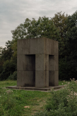 adrian assefa adam talmon