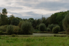 adrian assefa adam talmon