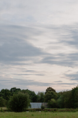 adrian assefa adam talmon