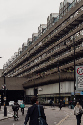 adrian assefa adam talmon