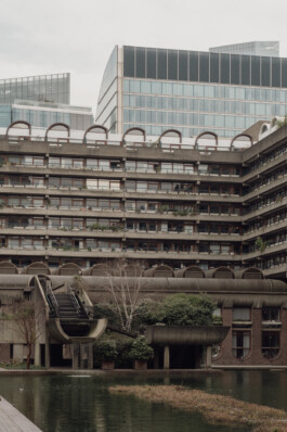 adrian assefa adam talmon