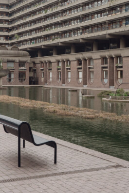 adrian assefa adam talmon