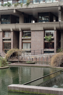 adrian assefa adam talmon