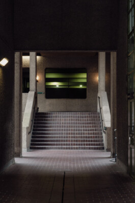 adrian assefa adam talmon