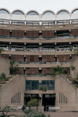 adrian assefa adam talmon