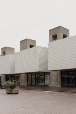 adrian assefa adam talmon