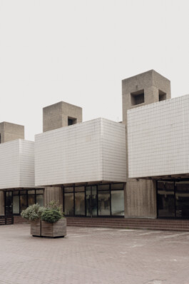 adrian assefa adam talmon