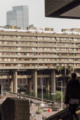 adrian assefa adam talmon