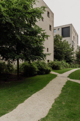 adrian assefa adam talmon