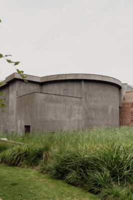 adrian assefa adam talmon