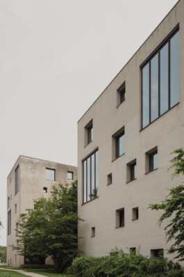 adrian assefa adam talmon