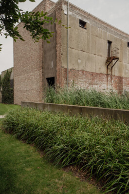 adrian assefa adam talmon