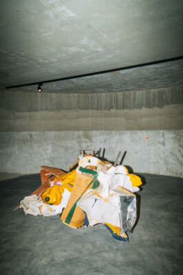 adrian assefa adam talmon