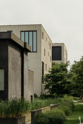 adrian assefa adam talmon