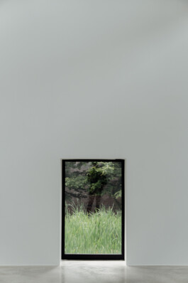 adrian assefa adam talmon