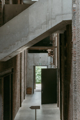 adrian assefa adam talmon