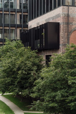 adrian assefa adam talmon