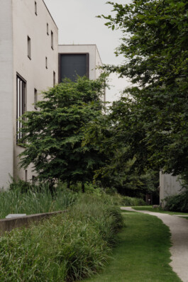 adrian assefa adam talmon