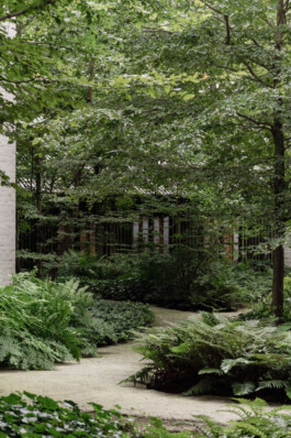 adrian assefa adam talmon