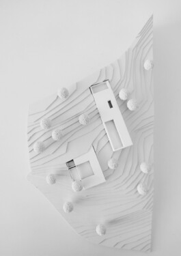 adrian assefa adam talmon